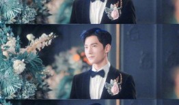 王舜禾最新爆料,揭秘娱乐圈惊人内幕